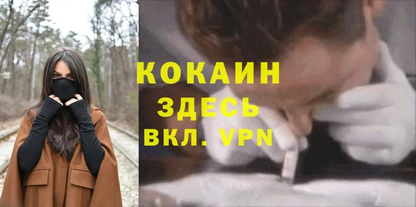 прущие грибы Лабытнанги