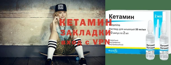прущие грибы Лабытнанги