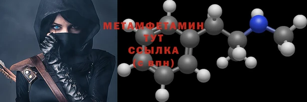 прущие грибы Лабытнанги