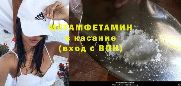 прущие грибы Лабытнанги