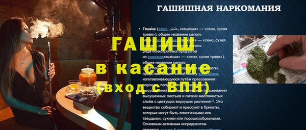 прущие грибы Лабытнанги