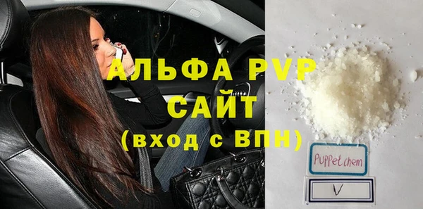 прущие грибы Лабытнанги