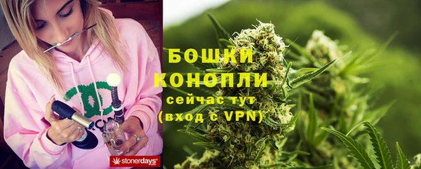 прущие грибы Лабытнанги