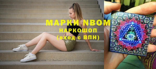 прущие грибы Лабытнанги