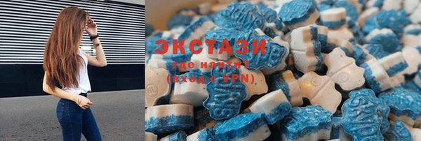 прущие грибы Лабытнанги