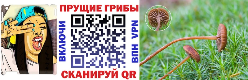 Псилоцибиновые грибы Magic Shrooms Купить где Кумертау
